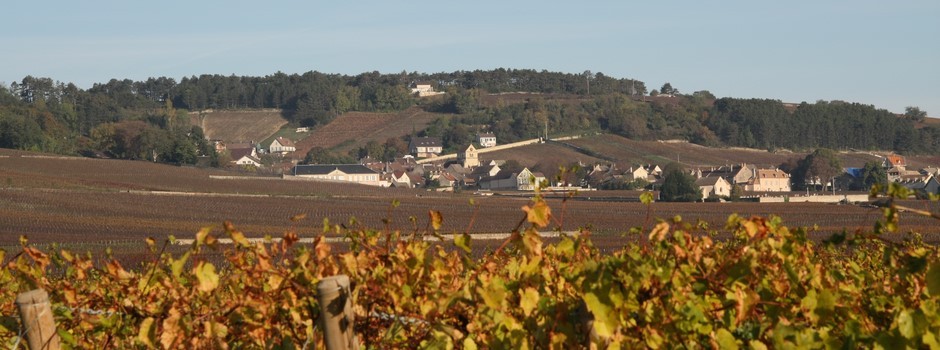 2014_10_26_7377.JPG